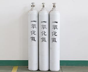 一氧化氮?dú)怏w